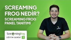 Screaming Frog Nedir?