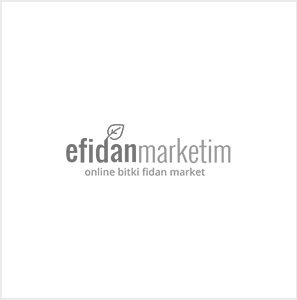 EFidan Marketim