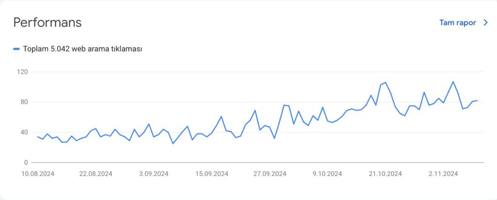 SEO Vaka İncelemesi Grafik